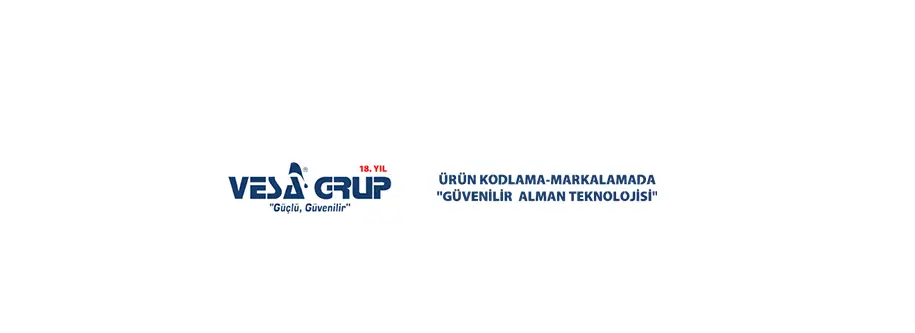 vesa grup logo