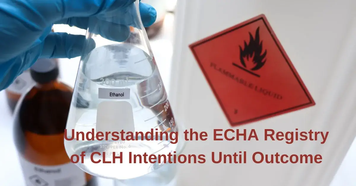 doruksistem echa clh en 1