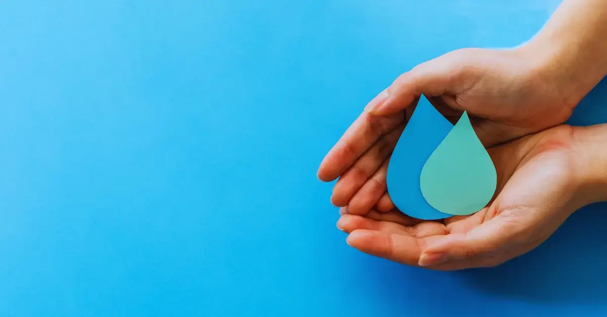 Sustainable Water Management