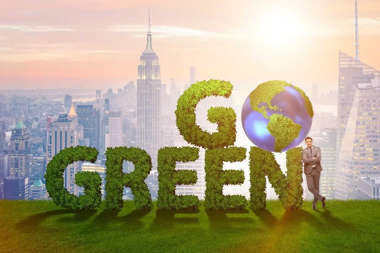 go green doruksistem